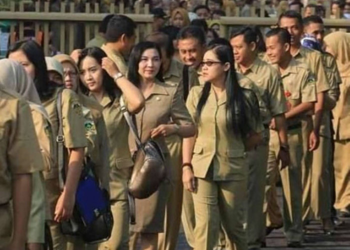 Revisi UU ASN! 4 Larangan Ini Diperketat Bagi PNS dan PPPK