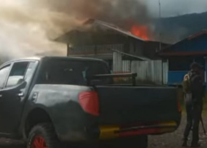 MAKIN BRUTAL, Kabupaten Puncak Membara, Rumah Warga Dibakar KKB Pimpinan Pilanus Waker