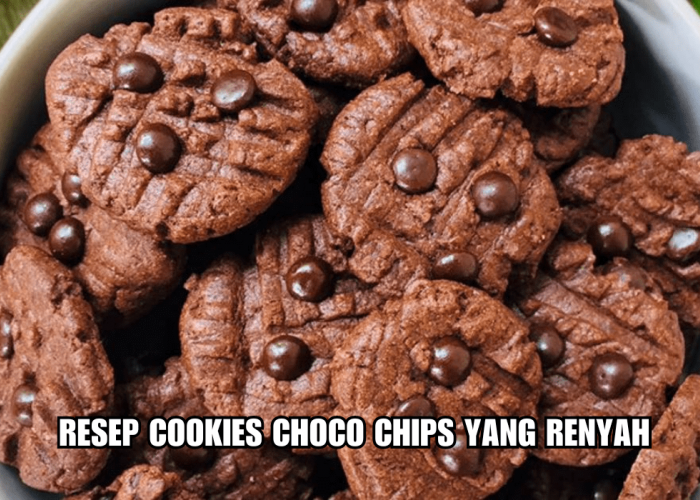 Ciptakan Kehangatan Kumpul Keluarga: Ini Resep Cookies Choco Chips yang Renyah, Dijamin Semua Orang Suka!