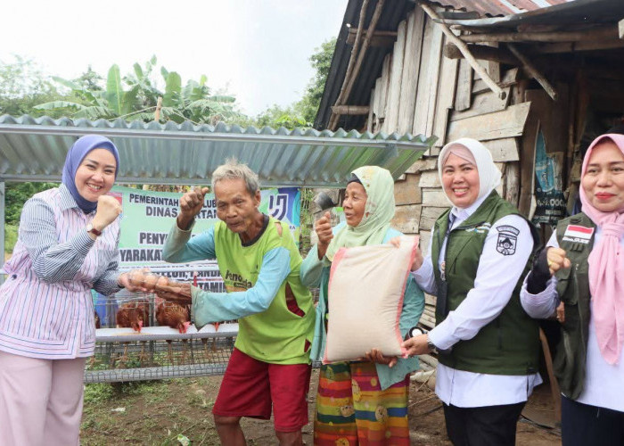 Ketua TP PKK Kota Lubuklinggau Salurkan Bantuan Ayam Petelur untuk KPM