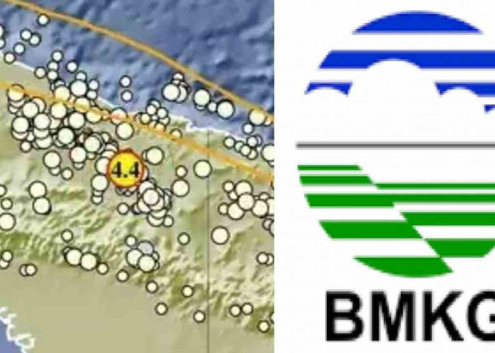 Update BMKG, Kabupaten Jayapura Papua Pagi Ini Diguncang Gempa 4.4 Magnitudo, Cek Episetrumnya