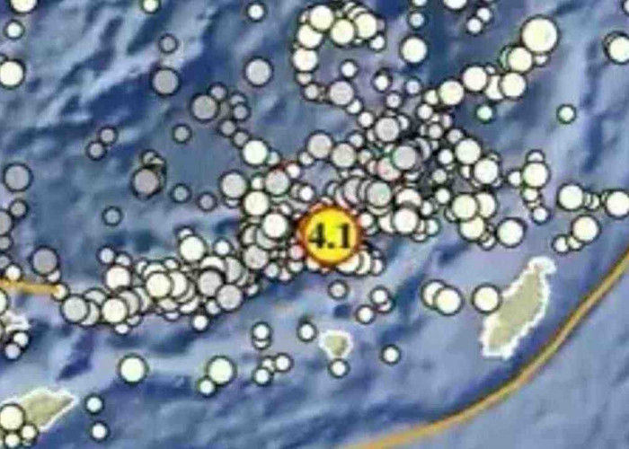 Gempa Magnitudo 4,1 Guncang Maluku Tenggara Barat Pagi Ini, Tak Berpotensi Tsunami