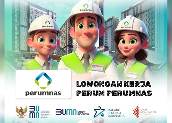 Lowongan Kerja BUMN Perum Perumnas Melalui Program Internship Risk Officer, Ini Syarat dan Cara Daftar