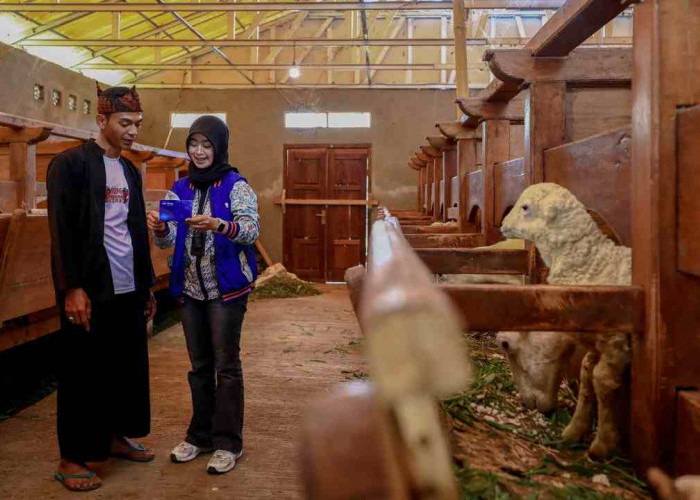 Momentum Idul Adha, BRI Bantu Peternak Domba di Desa BRILiaN Sukalaksana Garut