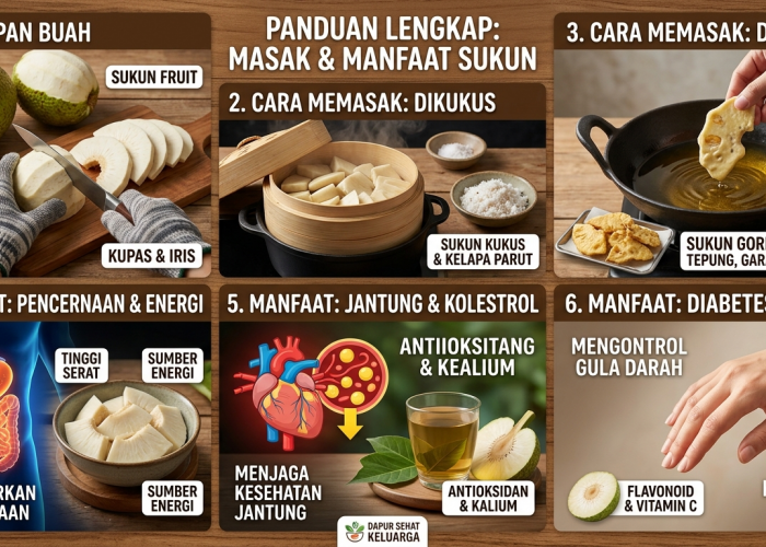 Harta Karun Tropis yang Sering Diremehkan: Kupas Tuntas Manfaat Luar Biasa dan Cara Olah Buah Sukun