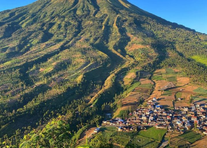 KEREN BANGET! 6 Tempat Wisata di Riau Ini Cantik Banget Buat Foto, Dijamin Medsosmu Makin Kece