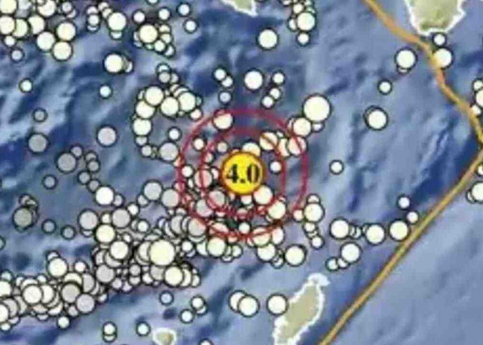 Gempa Magnitudo 4,0 Guncang Maluku Tenggara pada Kedalaman 150 Km, Tak Berpotensi Tsunami
