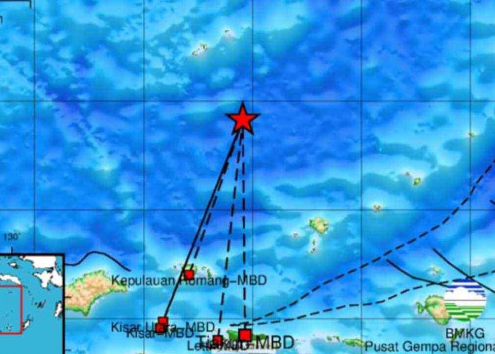 Gempa 4.7 Magnitudo Pagi Ini Guncang Maluku Barat Daya, Cek Update Pusat Gempa Regional IX Ambon