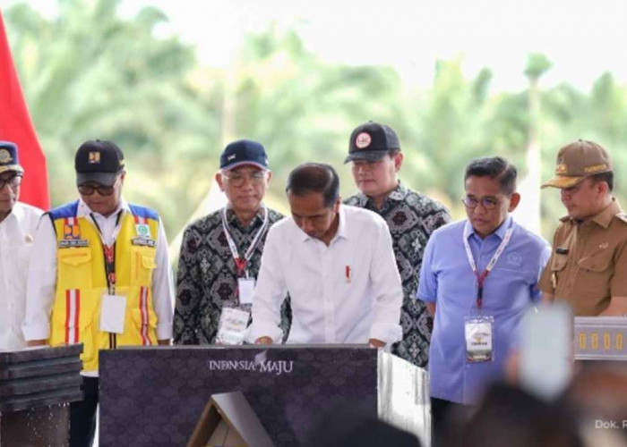 Presiden Jokowi Resmikan 2 Ruas Tol, Salah Satunya Melintasi Sumsel