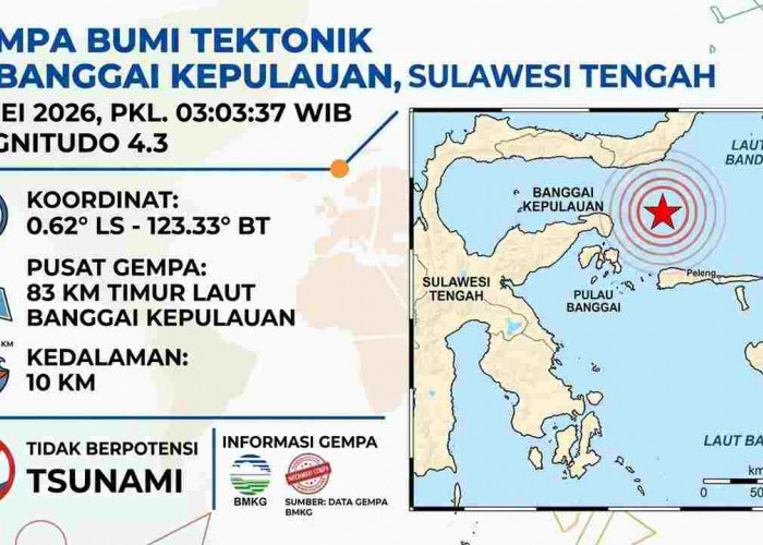 Gempa Magnitudo 4,3 Guncang Banggai Kepulauan Pagi Ini, Tak Berpotensi Tsunami