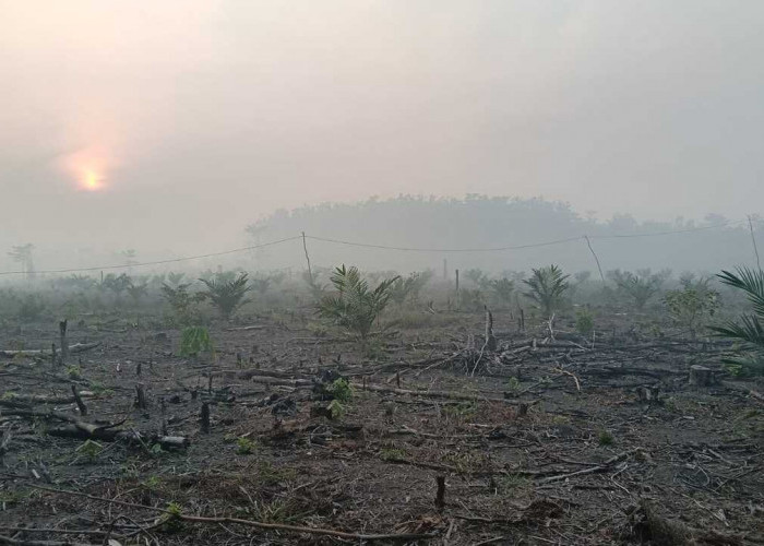 Kabut Asap Pekat Kepung PALI, Petani Karet Terpaksa Setop Menyadap