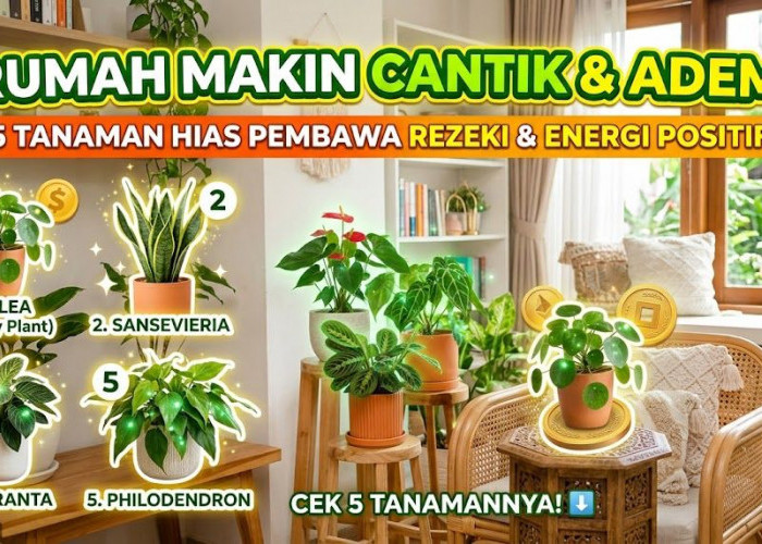 Rumah Makin Cantik dan Adem! Ini 5 Tanaman Hias yang Dipercaya Bawa Energi Positif serta Datangkan Rezeki