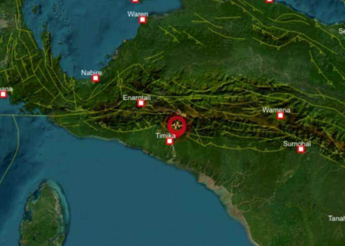 Update BMKG, Gempa 4.5 Magnitudo Guncang Timika Papua Tengah, Tak Berpotensi Tsunami