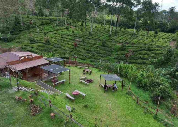 Kampung Koboi Tugu Selatan: Transformasi Desa Berbasis Potensi Lokal lewat Program Desa BRILiaN