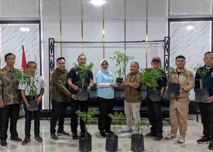 Jaga Inflasi, Dinas Ketapang PALI Luncurkan Gerakan Tanam Cabai Serentak 