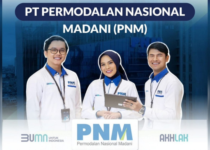 Lowongan Kerja BUMN PT PNM (Persero) Terbaru untuk Lulusan SMA/SMK, D3, S1, Begini Cara Lamarnya!