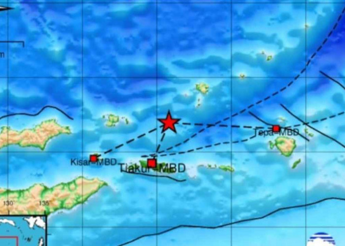 Gempa 4.1 Magnitudo Terjadi di Maluku Barat Daya, Kedalamannya 123 Km, Tak Berpotensi Tsunami