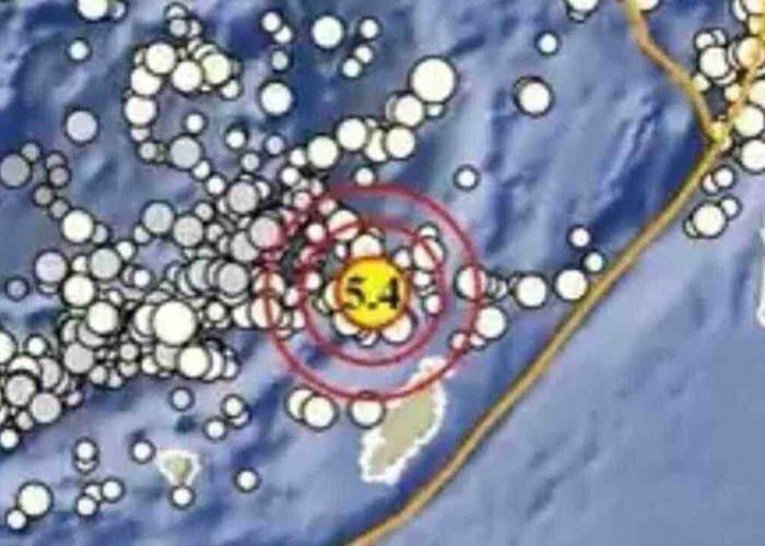 Gempa Magnitudo 5,4 Guncang Tanimbar pada Kedalaman 103 Km, Tak Berpotensi Tsunami