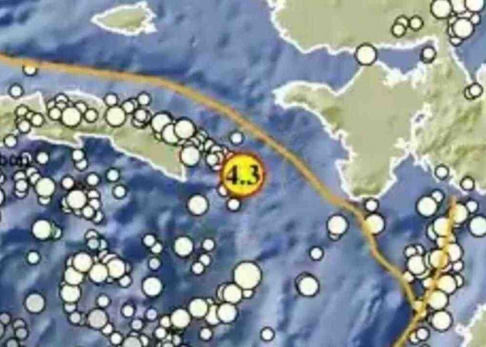 Gempa Magnitudo 4.3 Guncang Seram Bagian Timur pada Kedalaman 10 Km, Tak Berpotensi Tsunami