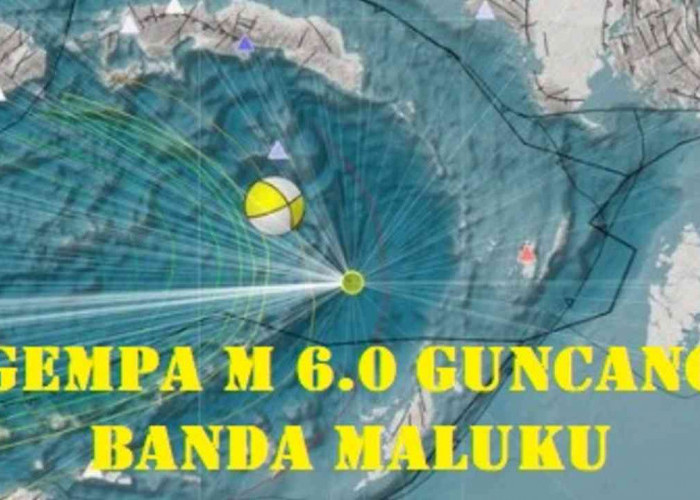 Gempa 6.0 Magnitudo Guncang Banda Maluku, Getarannya hingga Sorong. Tak Berpotensi Tsunami