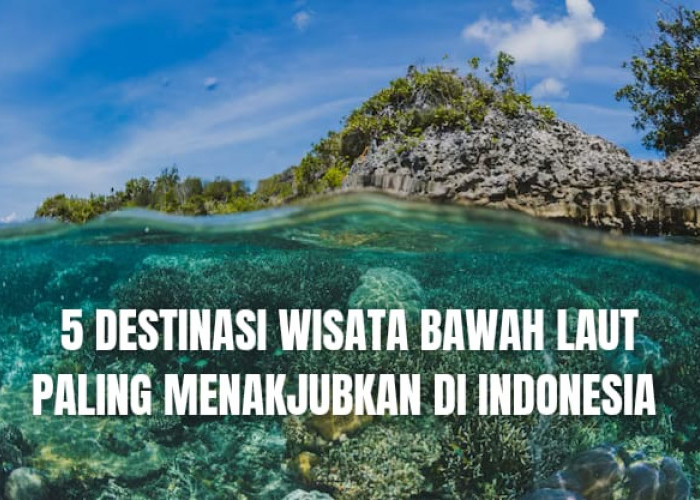 Selain Raja Ampat, 5 Destinasi Bawah Laut Paling Menakjubkan di Indonesia