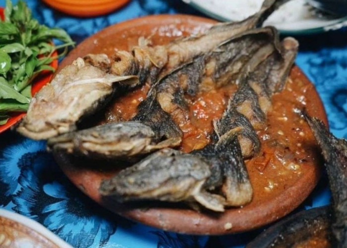 LARIS MANIS! Warung Makan Legendaris di Yogyakarta, Sehari Habiskan 500 Ekor Lele