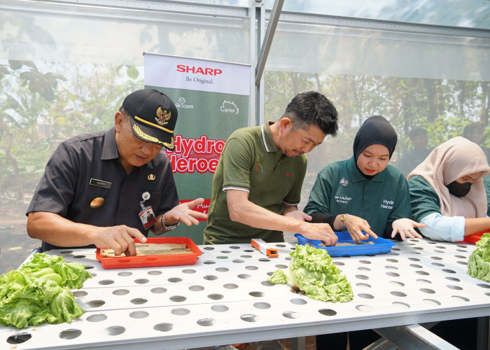 Sharp Hydro Heroes Program Kewirausahaan Bidang Pertanian, Berdayakan Petani Muda di Indonesia