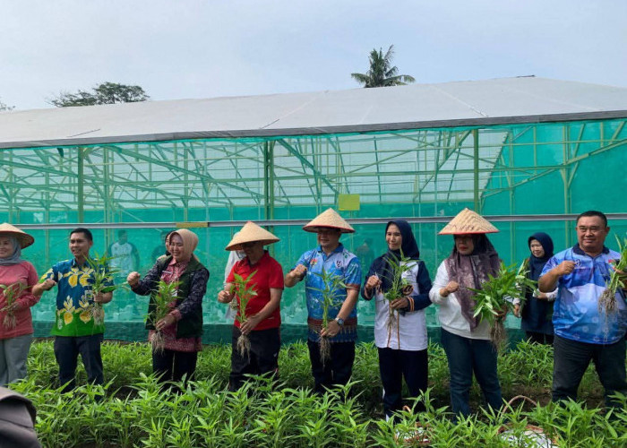 Pemkot Lubuk Linggau Dukung Gerakan Zero Rabies