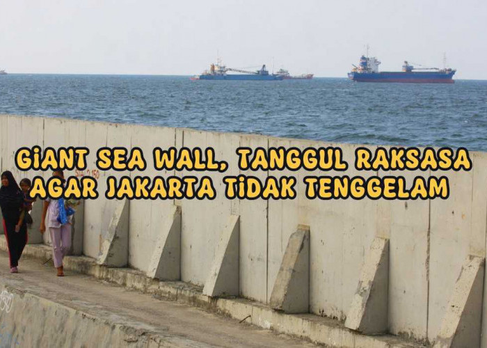 CEK FAKTA! Jakarta Bakal Tenggelam Jika Tidak ada Giant Sea Wall, Benarkah?