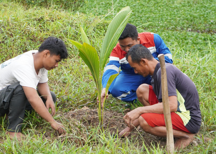 Pertamina Lakukan Konservasi Pohon di Kawasan Ring 1, Upaya Minimalisir Emisi Gas Rumah Kaca