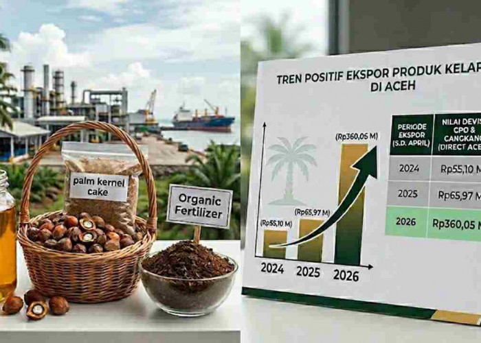  Devisa Ekspor Sawit Aceh Melonjak 445 Persen, Tembus Rp360 Miliar