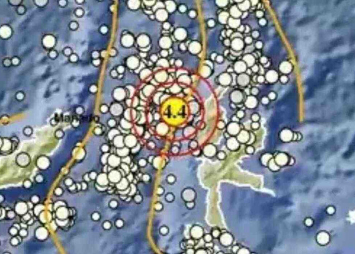 Pagi Ini Gempa Guncang Sorong Papua Barat dan Halmahera Barat, Kekuatannya 3.1 dan 4.4 Magitudo