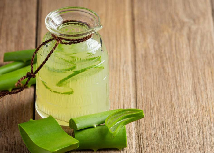  Rahasia Kulit Glowing dan Rambut Kuat: Optimalkan 'Tanaman Keabadian' Ini Sebagai Skincare Alami