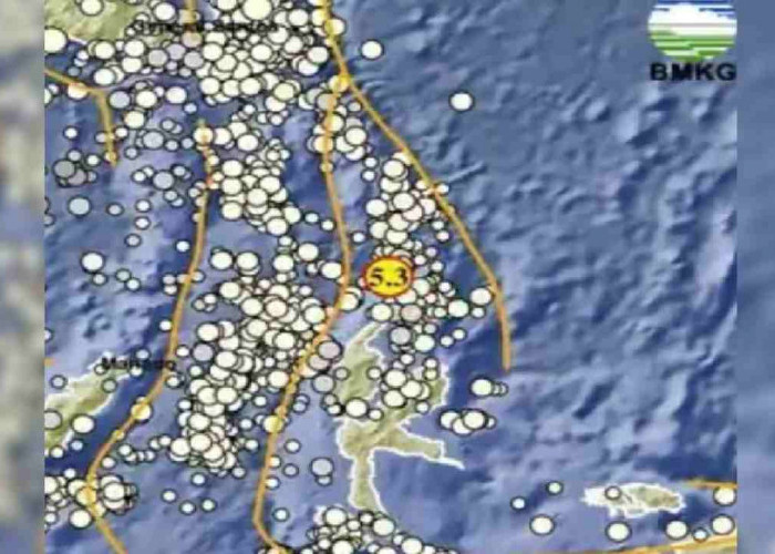 Gempa 5.3 Magnitudo Guncang Maluku Utara, Cek Kedalaman dan Episentrumnya