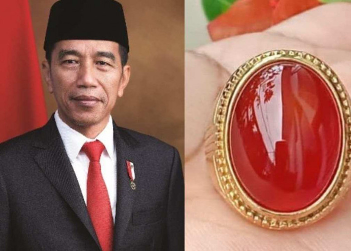 Ini Batu Akik Presiden Jokowi, Jenisnya Langka dan Berkualitas Tinggi
