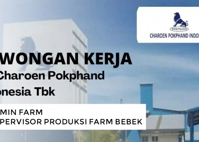 Lowongan Kerja Terbaru dari PT Charoen Pokphand Indonesia Tbk Tersedia 2 Posisi Jabatan Lulusan D4 dan S1