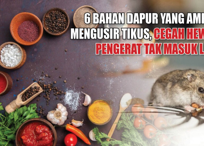 6 Bahan Dapur yang Ampuh Mengusir Tikus, Cegah Hewan Pengerat Tak Masuk Lagi