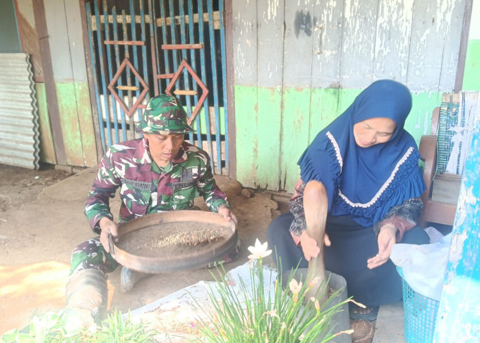 Tren Cagar Pangan TMMD 129 Kodim Salatiga: Sulap Lahan Desa Jadi Cuan Lewat Budidaya Kopi Kekinian!