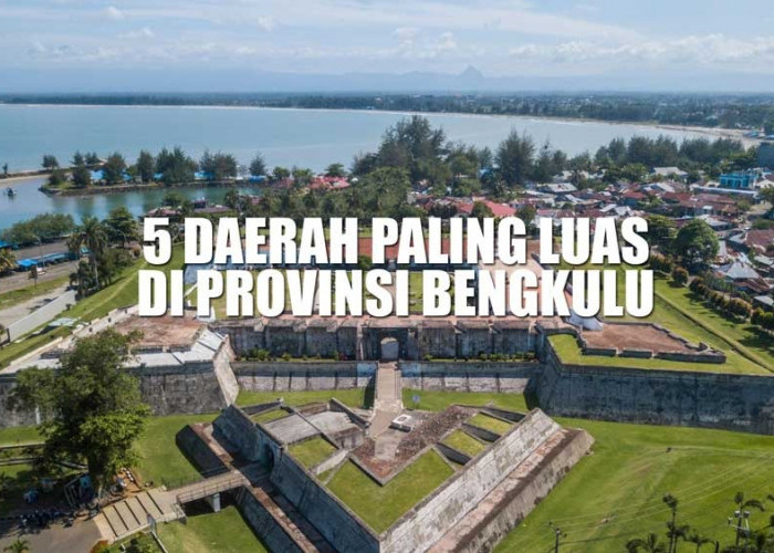 5 Daerah Paling Luas di Provinsi Bengkulu, Kota Bengkulu Gak Masuk Daftar