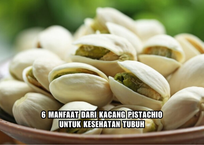 Jarang Diketahui, Ini 6 Manfaat Kacang Pistachio untuk Kesehatan Tubuh, Bisa Turunkan Berat Badan?
