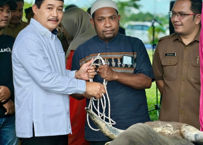 Pemkab Muba Salurkan Puluhan Hewan Kurban untuk Masjid, Ponpes hingga Disabilitas