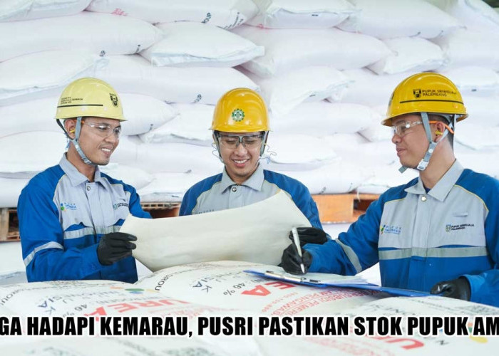 Gak Perlu Khawatir Kemarau! PT Pusri Palembang Amankan Stok Pupuk Bersubsidi Tembus 141 Ribu Ton