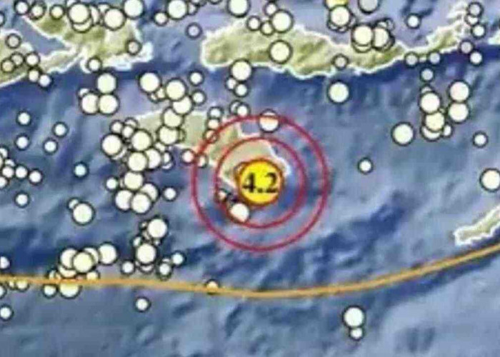 Deretan Gempa Guncang Indonesia Pagi Ini, Terkuat 4,2 Magnitudo di NTT