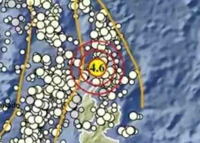 Sejumlah Daerah Diguncang Gempa Dini Hari, Terbesar M 4,6 di Maluku Utara