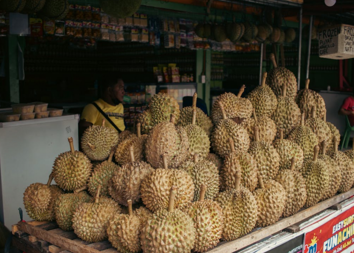 4 Kecamatan Penghasil Durian Terbesar di Kabupaten Sumedang, Cisitu Masuk Daftar, Tapi Juaranya Kecamatan Ini