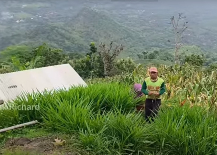 Kampung Terpencil di Atas Awan, Ada di Ujung Selatan Ponorogo, Hanya Dihuni 12 KK