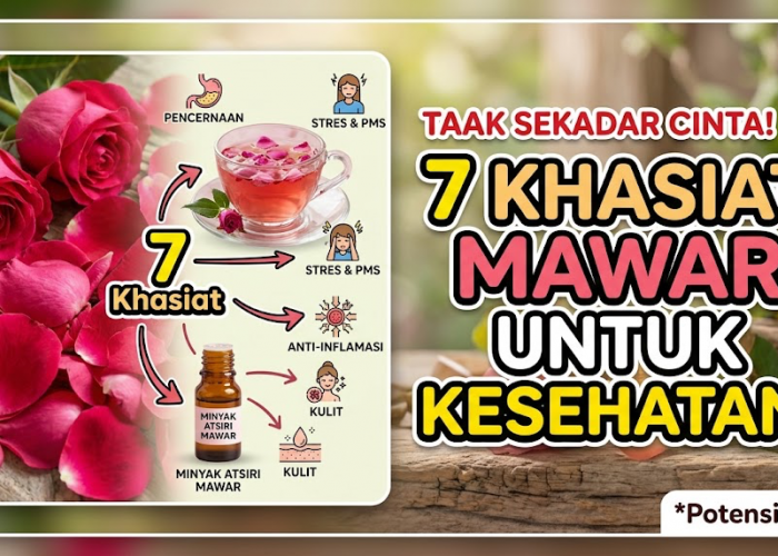 Tak Sekadar Lambang Cinta, Ini 7 Khasiat Bunga Mawar yang Ternyata Punya Potensi Baik untuk Kesehatan Tubuh 
