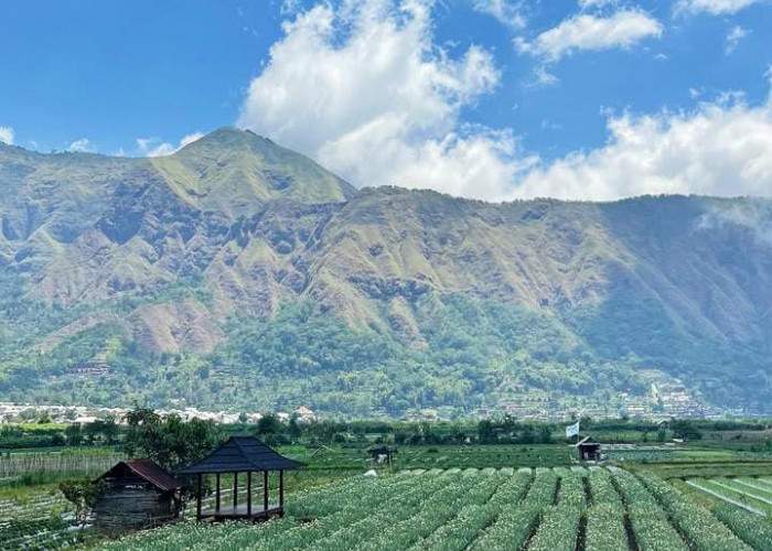 8 Wisata Keren di Lombok yang Bisa Kamu Datangi Pada Liburan Akhir Tahun 2025, Bikin Jadi Lebih Fresh!