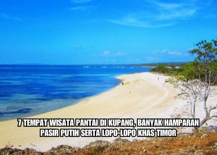 7 Tempat Wisata Pantai di Kupang, ada Lopo-lopo Khas Timor, Nomor 6 Bikin Melongo