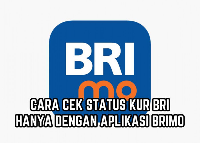 Bingung KUR Sudah ACC atau Belum? Begini Cara Cek Status KUR BRI, Hanya dengan Aplikasi BRIMo